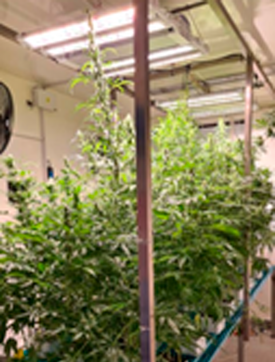 Fase 1 galería instalaciones de investigación