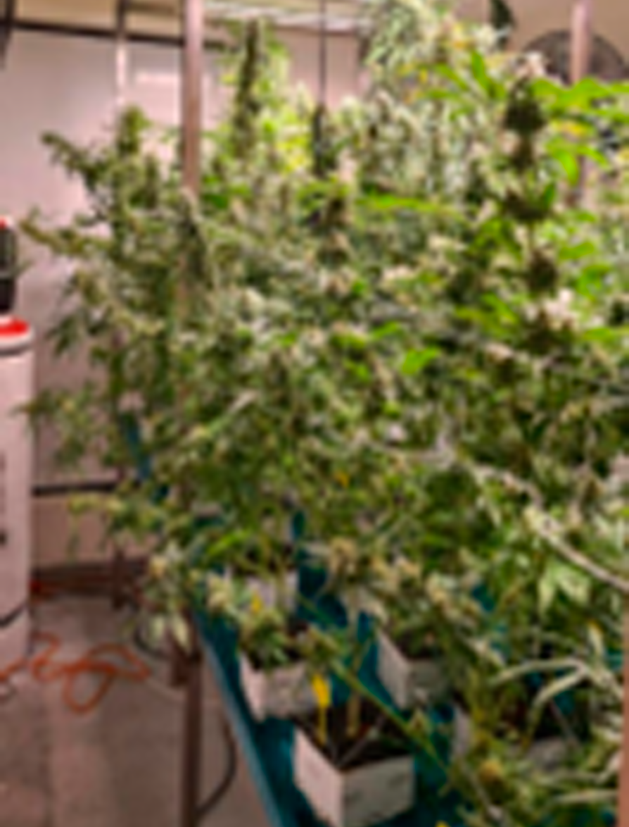 Fase 1 galería sala de pre-producción