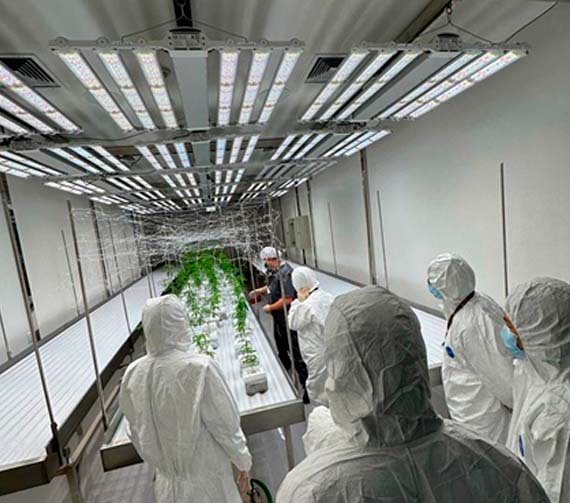 Delegación de Corea del Sur recorriendo instalaciones de Pharma Industries