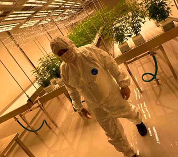 Visita autoridades DINAVISA y estudiantes universitarios